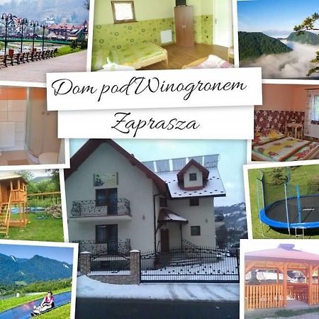 Dom Pod Winogronem Apartment Шчавница Екстериор снимка